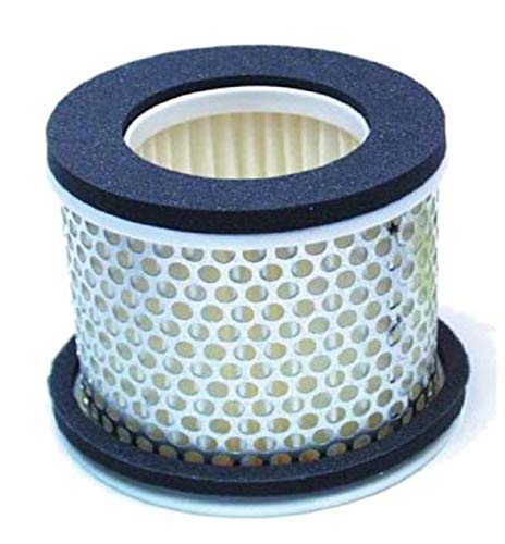 Hiflofiltro HFA4403 Premium OE Replacement Air Filter