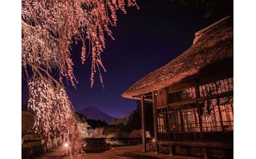 秩父宮記念公園 燻蒸体験と御殿場の食を楽しむ