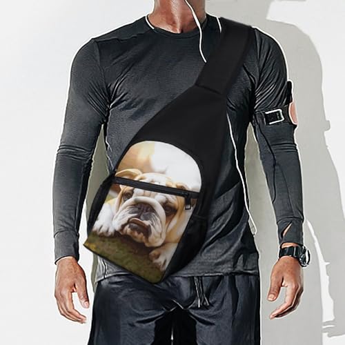 Morrales de senderismo casual con mascota perro bulldog miniatura 7