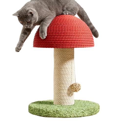 L܂Ƃ | TCU }bV[ _ -  ^ L p  Ƃ |Xg | qL̉^p g̉^p ދp ap ƒp Ap[gp p Op p