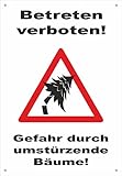 Maße: 45x65cm Absperr-Plane Absperr-Banner - Betreten verboten - Gefahr durch umstürzende Bäume - 450x650mm mit Ösen - P00001-035-A - stabile PVC Werbe-Plane Werbe-Banner - in 4 Varianten erhältlich