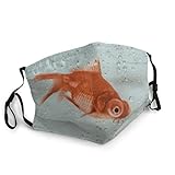 Peaceful Beauty of The Goldfish Face Mask with Filter Pocket Washable Face Bandanas Balaclava Reusable Fabric Mask for Men Women