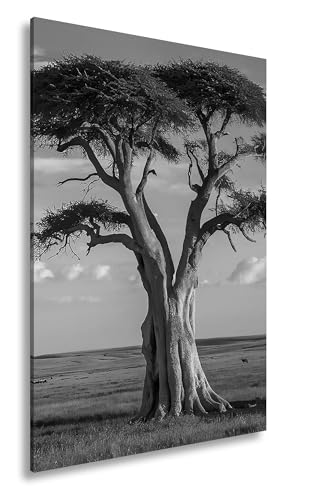 Arbre sage impression sur toile pour créer une ambiance zen dans votre salon
