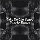 Gato De Oro Negro