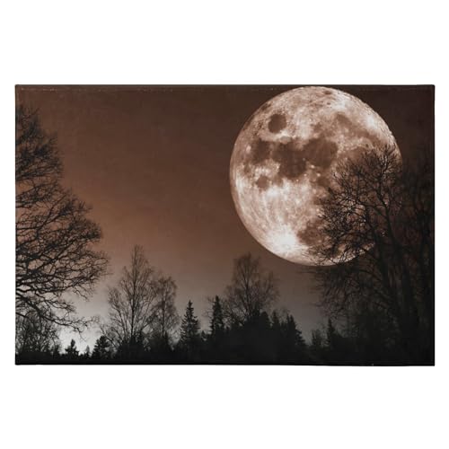 SAMAU  փ}bg   X  ӂӂ hA}bg DƂ ~ O Ɩp ItBXp ƒp 唻 60*90CM