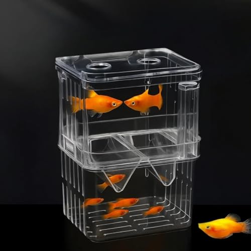 Image of SANSEFERO Breeding Box Isolation Box Fish Tank Aquarium Breeder Box Double Guppies Incubator Aquarium Rectangle Aquarium Tank (13.5cm x 7.5 cm x 10.5 cm)