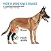 Bawektrl Dog Leg Brace for Rear Legs, Canine Hind Hock Brace, Joint Compression Warps Support for Back Leg with Injury Sprain, Wound Care and Loss of Stability from Arthritis Torn ACL CCL(1 Pair)