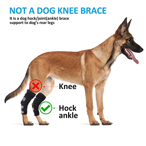 Dog Leg Braces for Back Legs,ACL Brace for Large Dogs Rear Legs, Joint Compression Warps Support for Hind Leg with Injury Sprain, Wound Care and Loss of Stability from Arthritis (1 Pair)