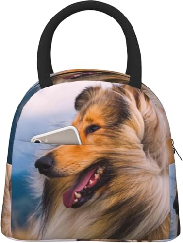 tR[ @\ e 񂰂ٓ ۉ ۗ fM`obOAsNjbNobOA  AEghA Lv ʋ΁Eʊwp y [֗