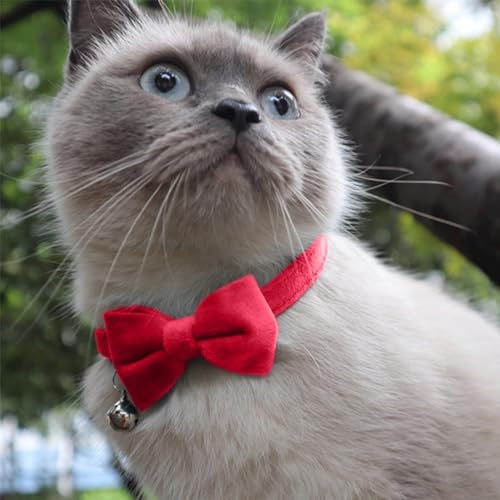 Schmetterling für Katzenhalsband – gleitende für Katzenhalsband, Fliege für Katzen für Hunde | vielseitiges Halsbandzubehör für kleine Haustiere