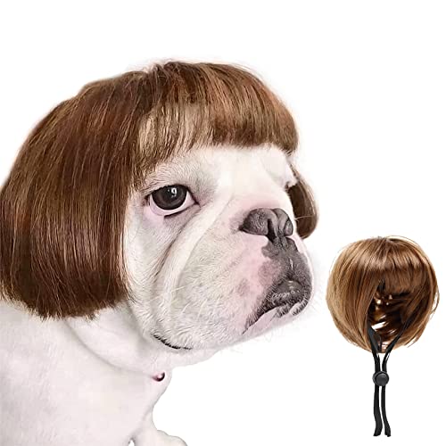 HOWWFALY Dog Costume Cat Apparel Dog Toys Curly Braids Headgear Wigs Styling Cute Funny Pet Hair Accessories Decoration for Halloween Christmas Parties(Flax)
