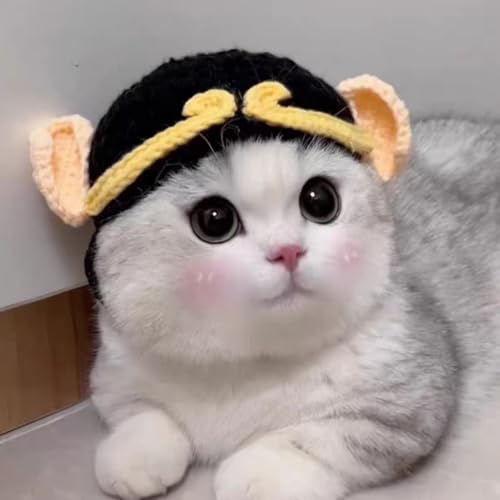 �y�b�g �X�q �L��蕨 �����y�b�g�p �p���_ �N�} ���� ���t�� �~ �h�� �L ���^�� �g�����X�q �L�p ���p ��蕨 ���Ԃ���ϑ� ���o���� �����΍� �R�X�`���[�� �R�X�v�� �N���X�}�X �}�W�b�p�i ���U�� �A�E�ȒP �L�O�B�e (3-�u���b�N,S�T�C