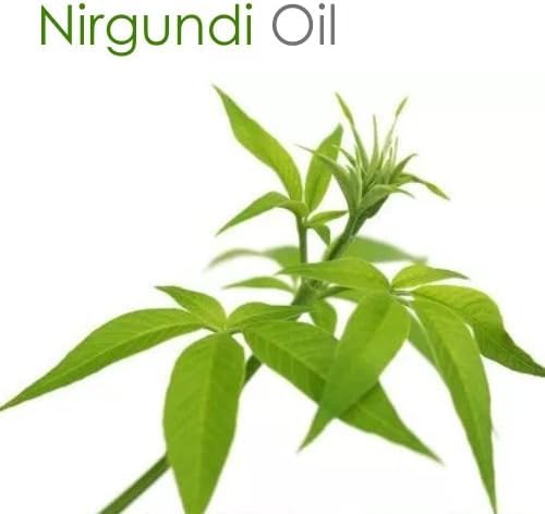 Aceite esencial puro de Nirgundi 1000 ml miniatura 5
