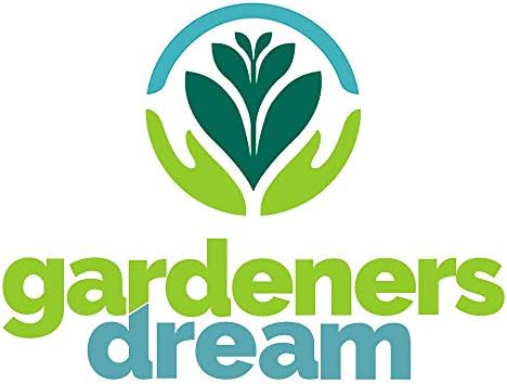 Cotoneaster X watereri 'Cornubia' | Cotoneaster | Ornamental Garden Tree | 5-6ft