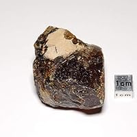 604-2 アンバー原石 Amazon | [N2 stone Natural] 天然化石 虫入り琥珀 (アンバー