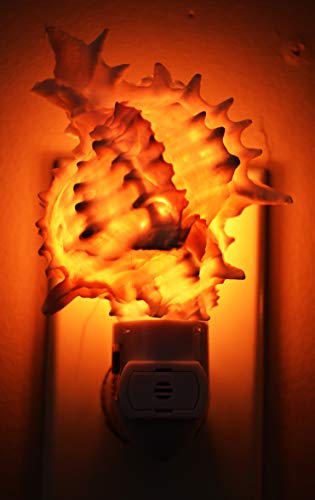 Florida Shells And Gifts Inc. ND0026001 Seashell Night Light Real Pink Murex Shell Beach Decor W. On/Off Switch Beautiful Coastal Cottage thumb #3