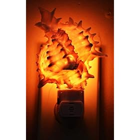 Seashell Night Light Real Pink Murex Shell Beach Decor w. on/Off Switch Beautiful Coastal Cottage 41F02 VKSiL. SS280