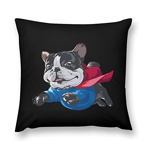 NbVJo[ ʔ pO  Jo[ Jo[ Jo[ wăJo[ 45cm×45cm ` ԗp ƒp \t@[p \t@w zcJo[ ʋC _炩  Bt@Xi[ lC CeA I[V[Y