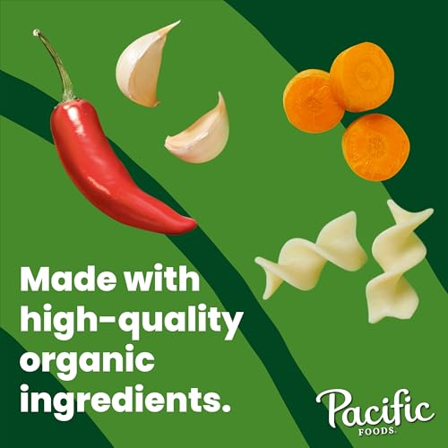 Image of Pacific Foods Organic Spicy Chicken Noodle Soup, 16.1 oz Can (12 Pack)