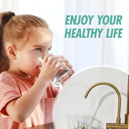 Image of Fapully Brushed Gold Commercial Kitchen Faucet with Pull Down Sprayer | Water Filter Spout,3 in 1 Kitchen Faucets with Drinking Water Faucet for 1 or 3 Holes Sink