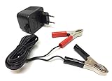 Neues Batterieladegerät für 12V Motorrad & Roller Batterien. Technische Daten: - 12 Volt - 0,5 Ampere Länge des Kabels: ca. 2m