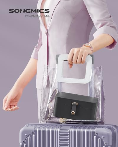 Image of SONGMICS Travel Jewelry Organizer, 2-Layer Portable Jewelry Box Case