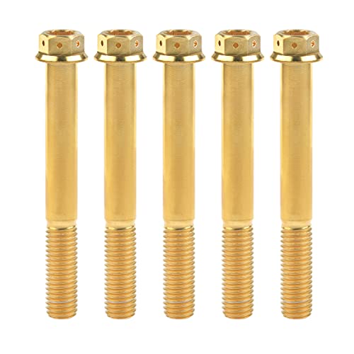 Ruifuチタン合金フランジヘッド六角穴付ボルトM10 20 25 30 35 40 45 50 55 60 65 70 75 80 85 90mm 二輪車用改造ネジ5個 (M10x80mm Pitch 1.25, ゴールド)