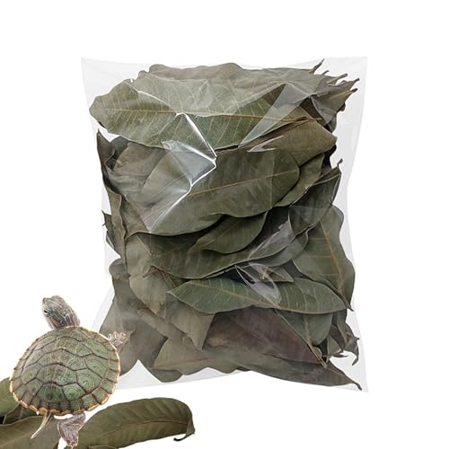 Mppchhn Litière pour reptiles, fournitures naturelles pour animaux domestiques – Litière pour tortues – pour grenouilles, poissons, crevettes, tortues, lézards, petits animaux, maison, intérieur