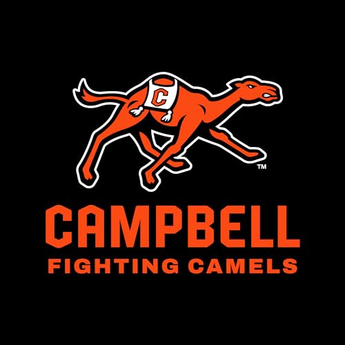 NCAA Primary Logo, Team Color Womens T Shirt, College, University2