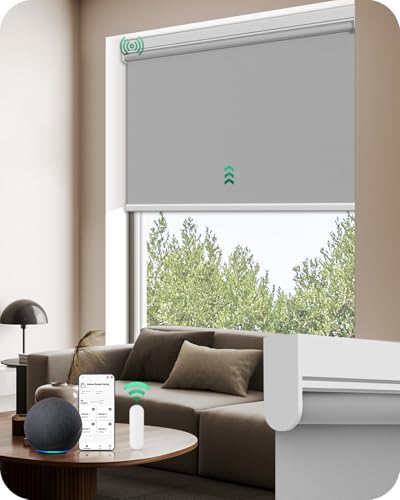 Allesin Motorized Roller Blinds with Remote Control for Windows, 100% Blackout Smart Shades with Quiet Motor, Dry Battery Powered Electric Blind (Gray 27' W x 72' H)