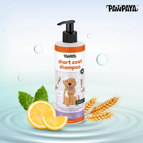 Image of Pawpaya Shampoo Pawpaya Shampoo for Dogs | Gentle Deep Cleansing Formula for Healthy Skin & Soft, Shiny Coat | Suitable for All Dog Breeds & Coat TypesDogs (Short Coat Shampoo)