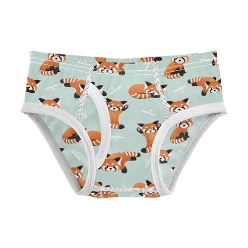 Boys' Exclusive Briefs Toddler Underwear 95% Combed Cotton Boxerbriefs 2T Red Panda Pattern 2