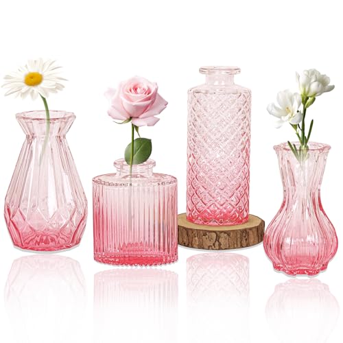 Set of 4 Glass Bud Vase Set Small Vintage Clear Flower Vase Centerpieces for Table Bulk Cute Rustic Style Mini Vase for Home Decor Wedding Baby Shower Birthday Party(Ombre Pink)