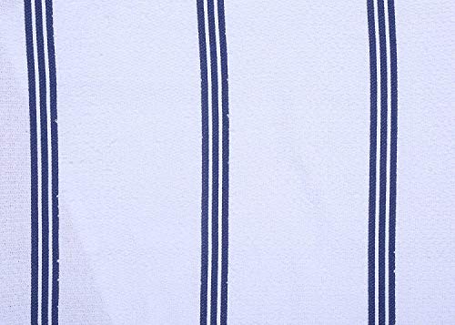 Amour Infini Terry Dish Towel | Set Of 4 | 16 X 26 Inches | Super Soft And Absorbent |100% Cotton Dishtowels | Perfect For Household And Commercial Uses | Blue #TOP5
