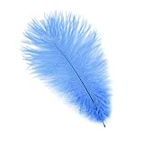 Zucker Lot de 12 plumes d'autruche pour loisirs créatifs 22,9 à 30,5 cm 9-12' bleu ciel