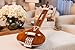 MAHARAJA Instrumental Tanpura, 4 Strings, Flat Tumba, Amazing Acoustics, Extra String Set, Tambura/Tanpuri/Tanpura/Tamburi (PDI-II)