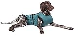 E-Collar Alternative for Cats and Dogs: After Surgey Wear. Recommended by Vets (X-Large, Bottle Gree