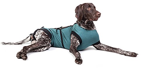 E-Collar Alternative For Cats And Dogs: After Surgey Wear. Recommended By Vets (X-Large, Bottle Green) #TOP4