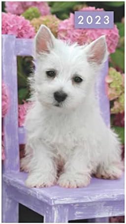 Dog - Puppies Slim pocket week to view 2023 Diary - 3 types to choose from (Bull Dog)