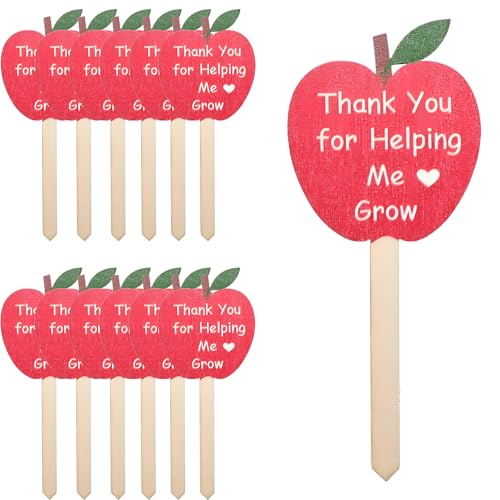 12 Pcs Thank You for Helping Me Grow Succulent Tags