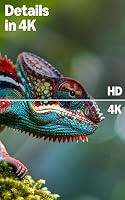 Amazon Ember 4-Serie mit Fire TV (neueste Generation), 55-Zoll-Smart-TV in 4K Ultra-HD mit Alexa-Fernbedienung, HDR10+, schnellem Prozessor, Dolby Audio, Ambient-TV und kostenlosem Live-TV – Ansicht 5
