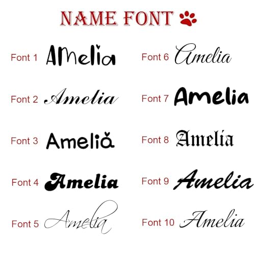 Custom Name Necklace - 925 Sterling Silver & 316 Stainless Steel, 14 Fonts & Multi-Language Options, 4 Colors, 5 Chain Styles, Personalized Gift with Premium Box2