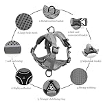 cat Chest Harness and Leash, Anti-Escape Adjustable Soft mesh cat Leash and Chest Harness Set for All Types of Cats cat Vests (Grey, 16.5-22.04lb) - Image 2