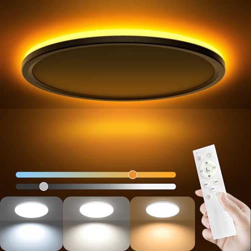 AmazeFan 12 Inch LED Ceiling Light Dimmable - 24W 2400LM Modern Hardwiring Ceiling Lamp with Remote - 6W Night Light Warm - LED Flush Mount Ceiling Lights for Bedroom Kitchen Living Room Round (White)