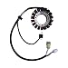 Komous stator coil Fit Yamaha ATV Raptor 350 YFM350 2004-2010/ Big Bear 400 / WARRIOR 350 YFM350 2002 2003 2004#OEM 5NF-81410-00-00 5FU-81410-00-00