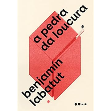 Capa do livro A pedra da loucura