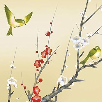 41F0YRURCGL._AC_UF350,