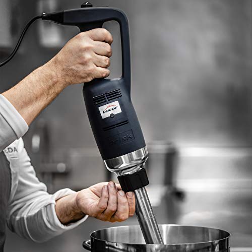 Batidora de mano de velocidad variable LACOR Brisk trituradora de 500W acero 7