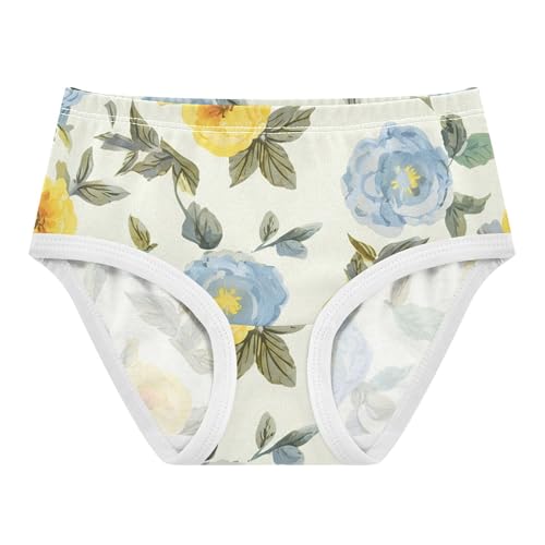 Painted Vintage Floral Flowers Girl Panties Cute Girls Underwear Toddlers Cotton Aesthetic Underpants Briefs 2t