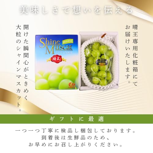 ノーブランド品 シャインマスカット晴王 の商品画像 6